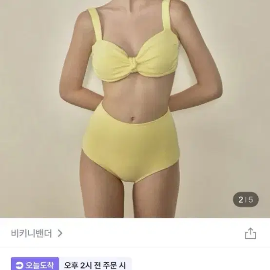 비키니밴더 비키니