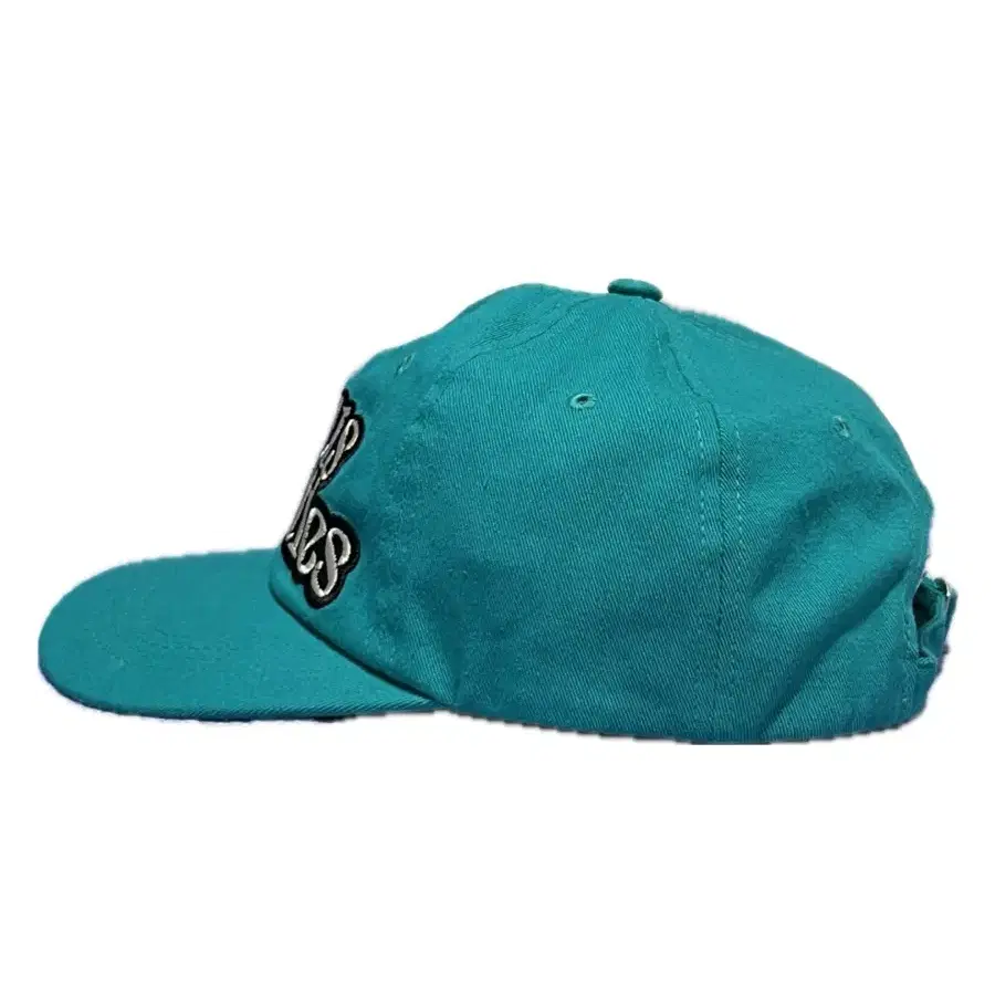 clauslab cotton cap (aqua)