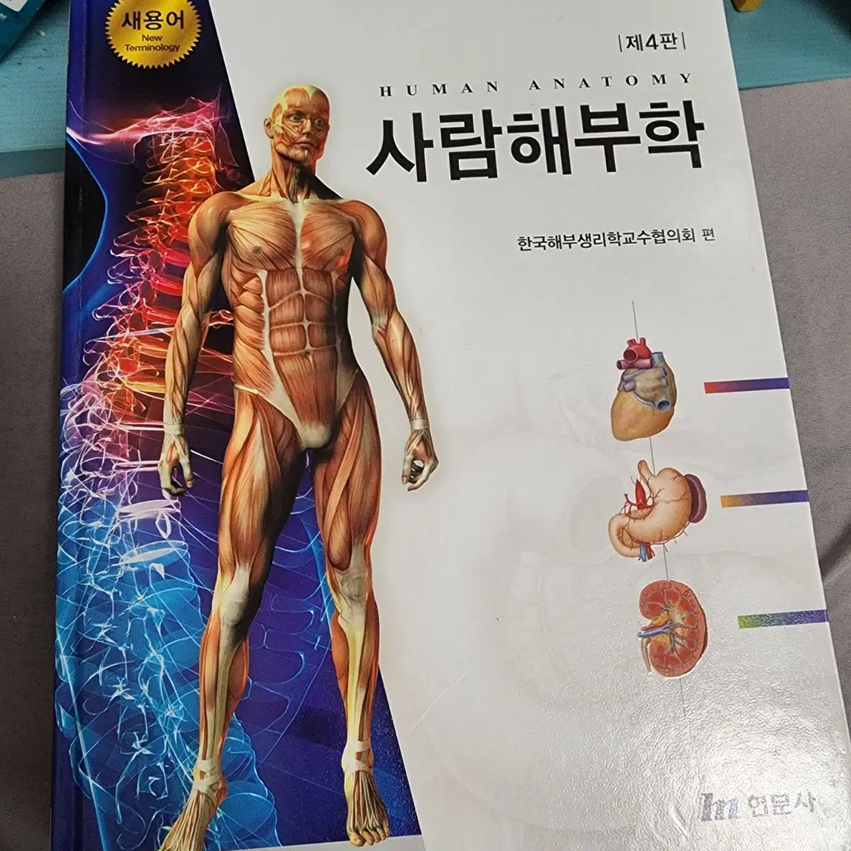 현문사 사람해부학