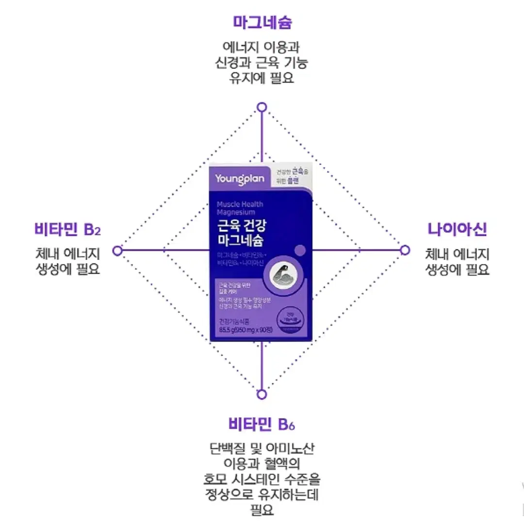 [3개월]영진약품 근육건강 마그네슘 950mg 90정 1병