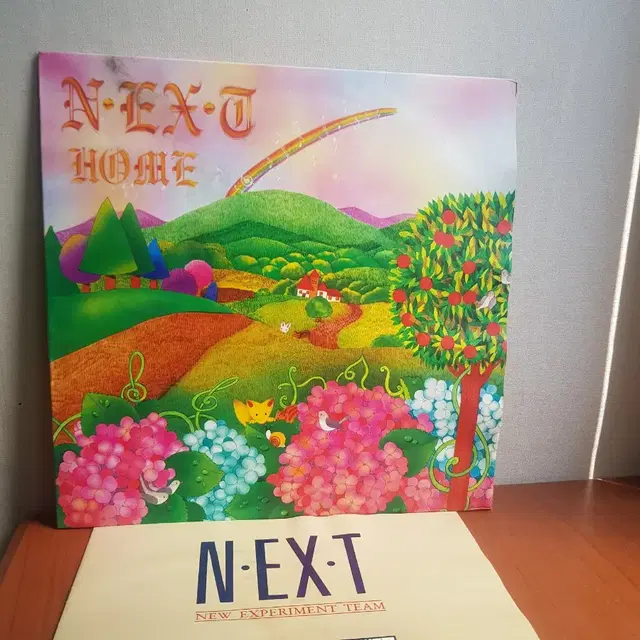 넥스트 N.EX.T 1집 1992년가요엘피가요lp 바이닐vinyl 신해철