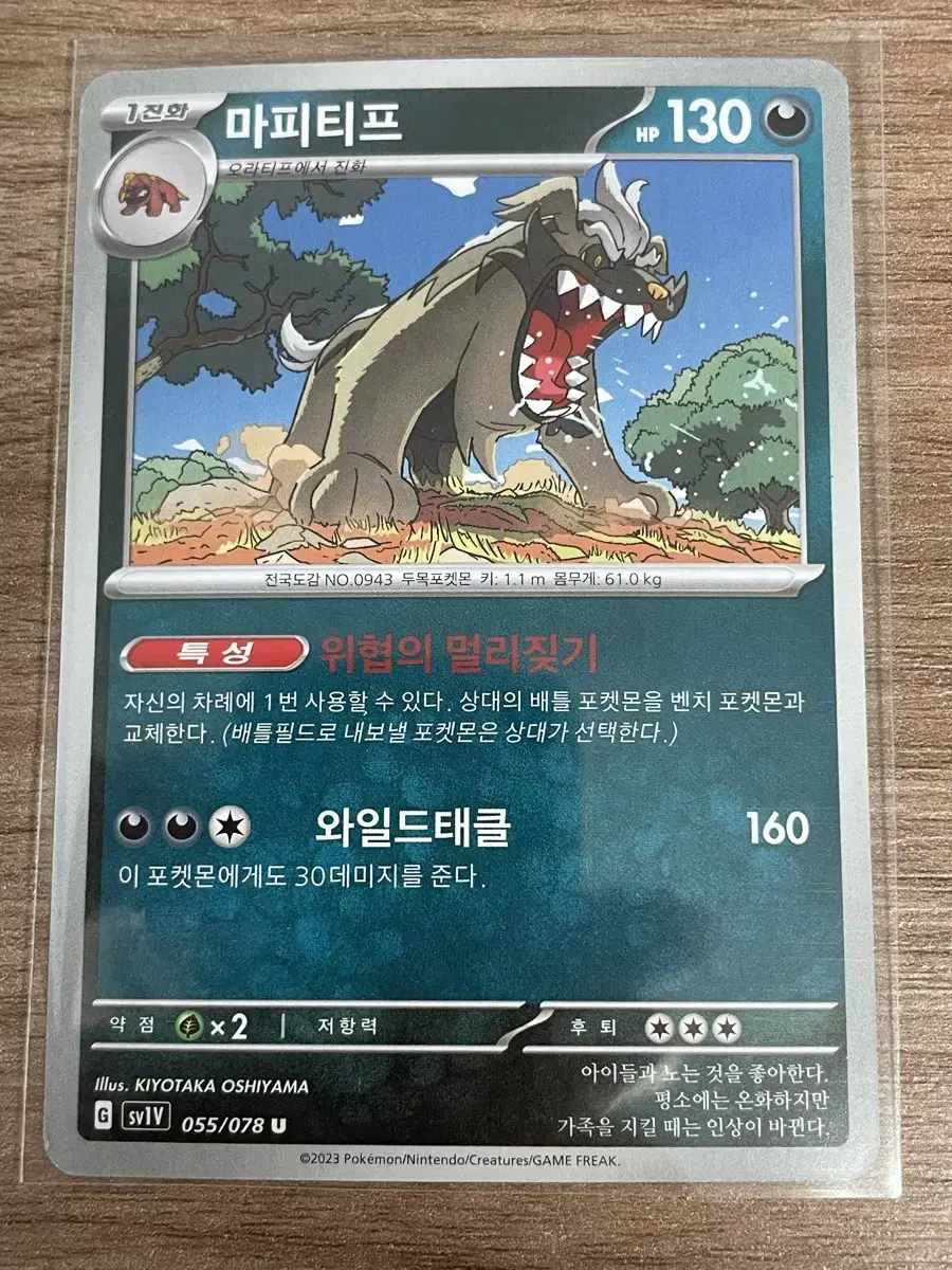 Pokémon Cards Maphitip