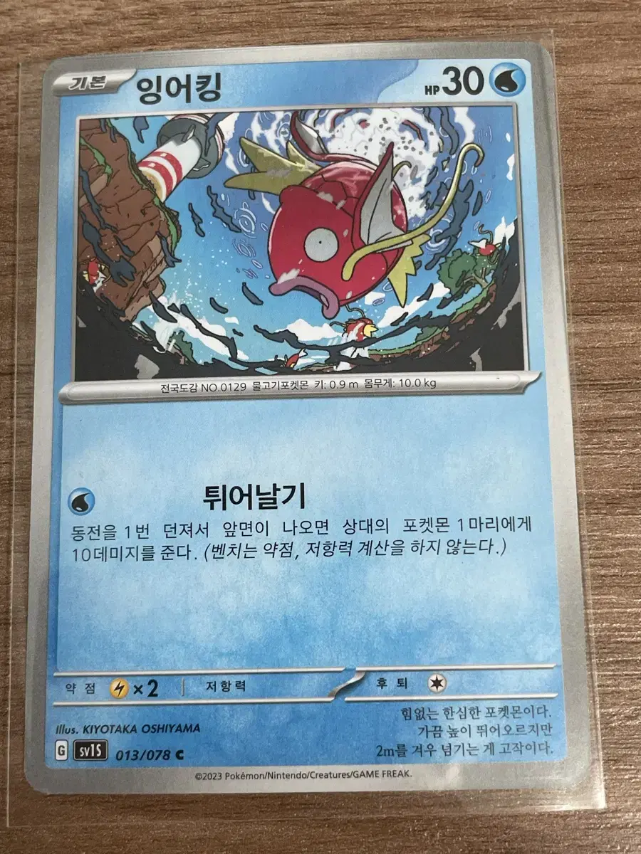 Pokémon Card King of Koi