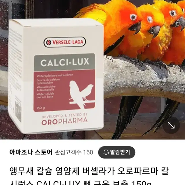 버셀라가 앵무새 칼슘영양제