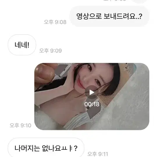 뽀유양이콩 박제,,