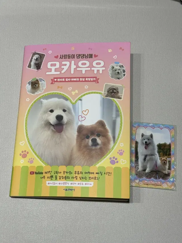 신간 [사랑둥이 댕댕남매 모카우유]+카드