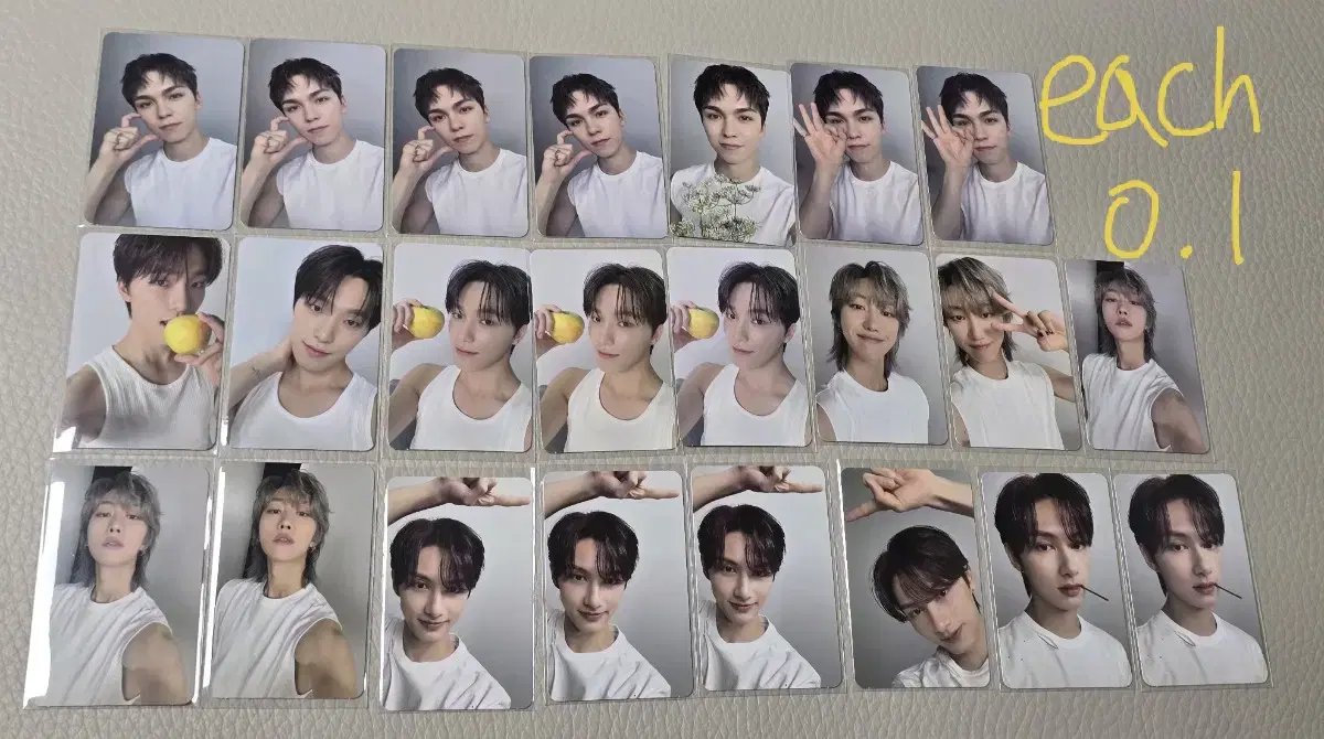 SEVENTEEN Dearborn Photocards