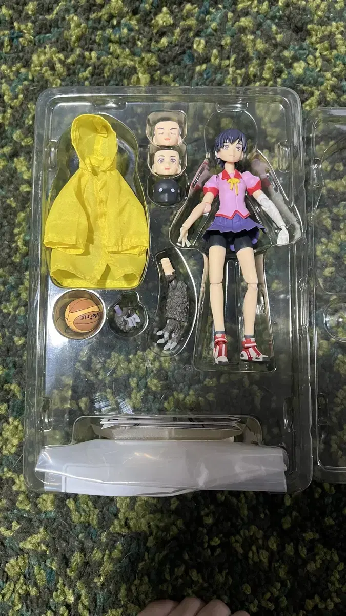 Figma Hachiguji Mayoi Kanbaru Suruga Azusa Yuzuhara Inori