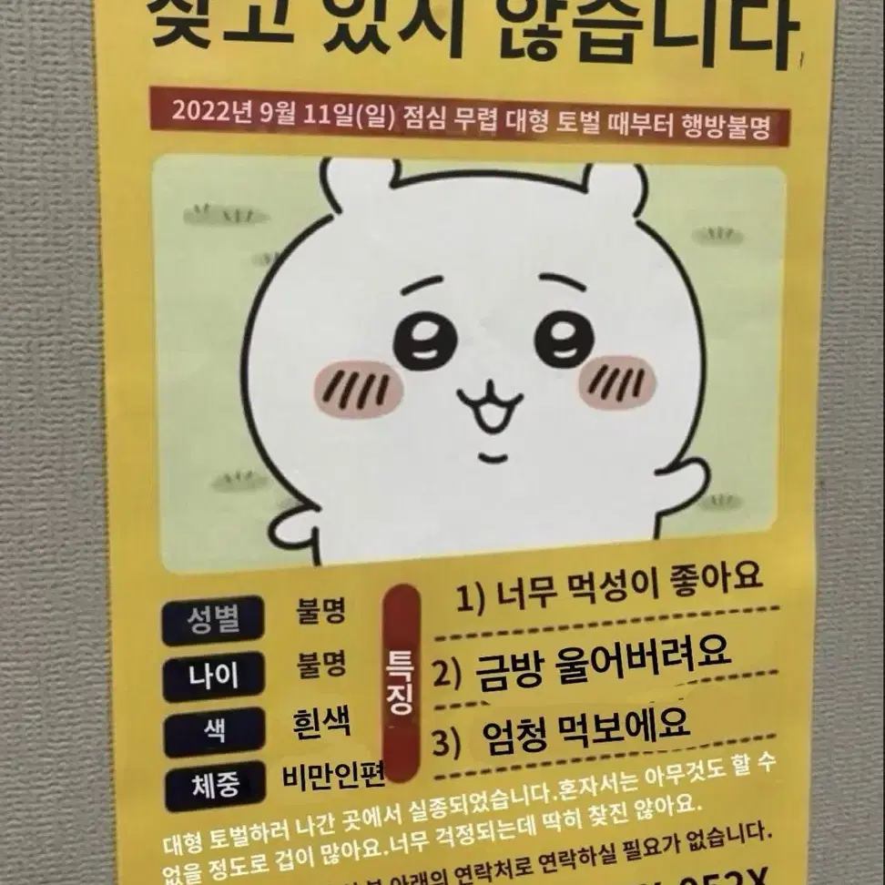 애즈랜드 대리 발주 구합니다