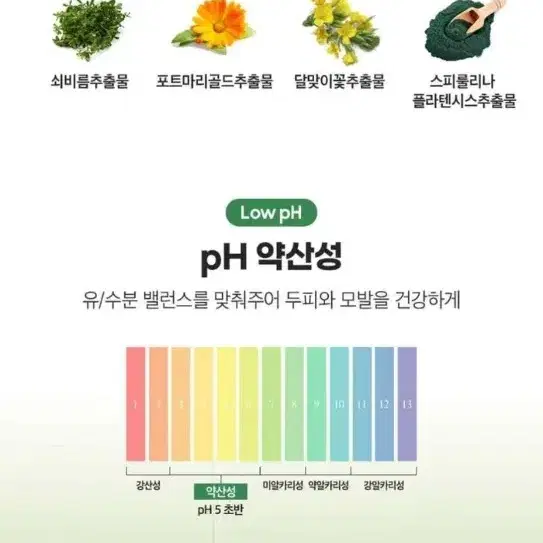 라비앙 실크헤어 헤어앤스칼프 클리어샴푸 탈모 샴푸 1000ml