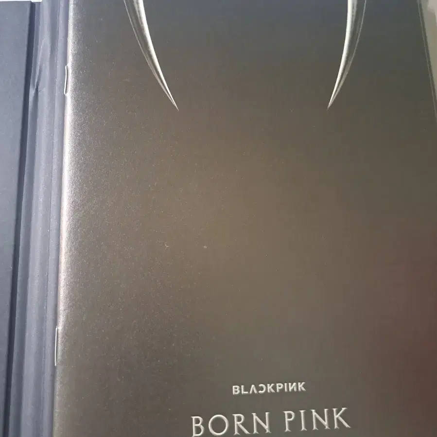 블랙핑크 BORN PINK 리사