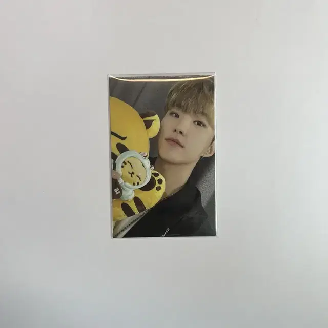 svt 호시 포카