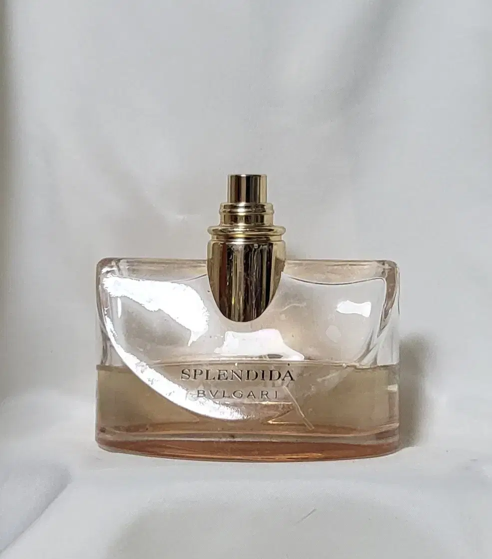 불가리 스플랜디다 로즈로즈 EDP 100ml