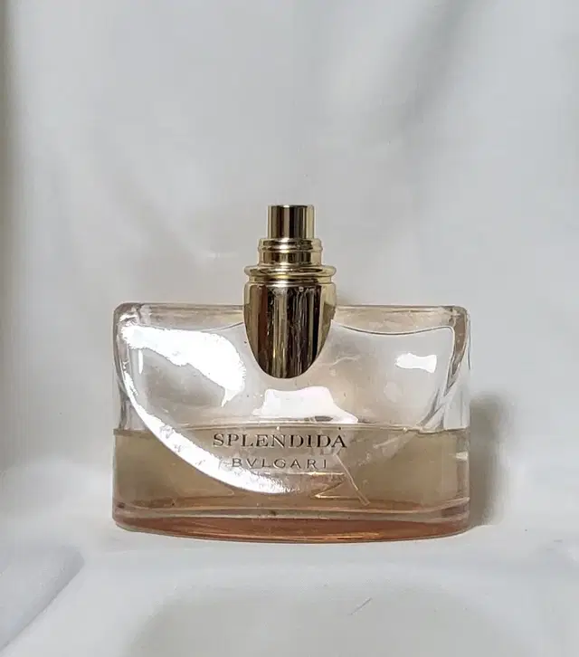 불가리 스플랜디다 로즈로즈 EDP 100ml