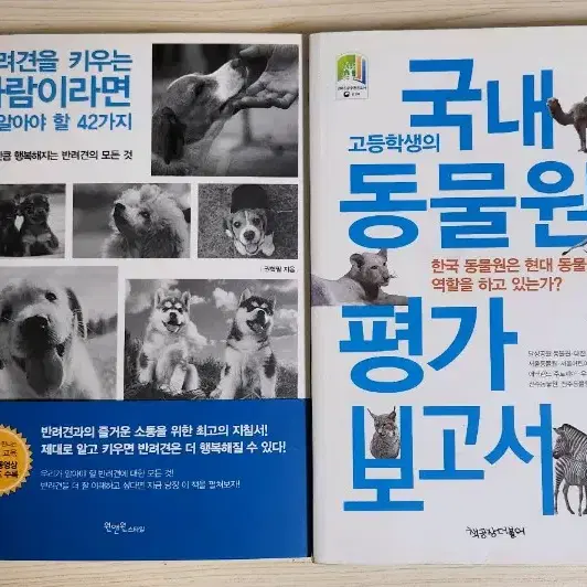 소설 판매(미드나잇라이브러리,백광,달러구트꿈백화점,보건교사안은영 등등)