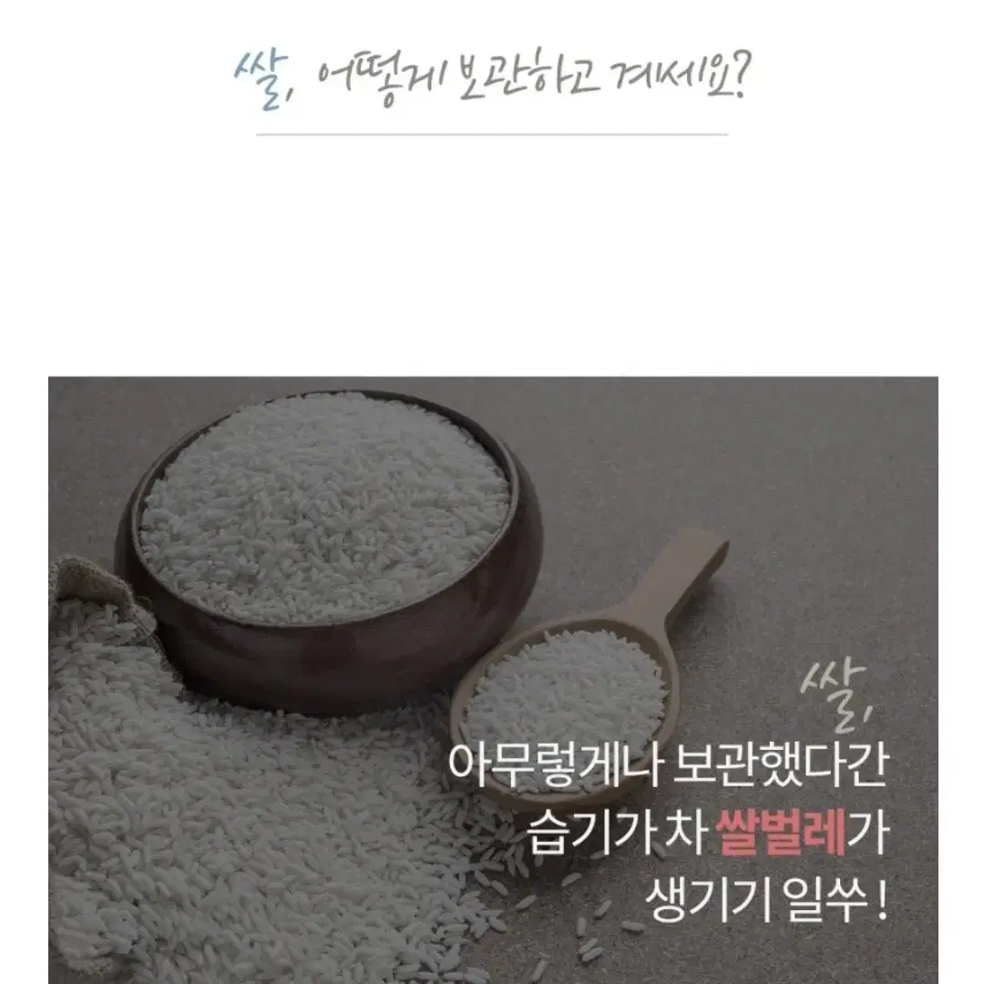 서진이네2 고민시 쌀통 10kg 15kg 밀폐 쌀보관통 잡곡통