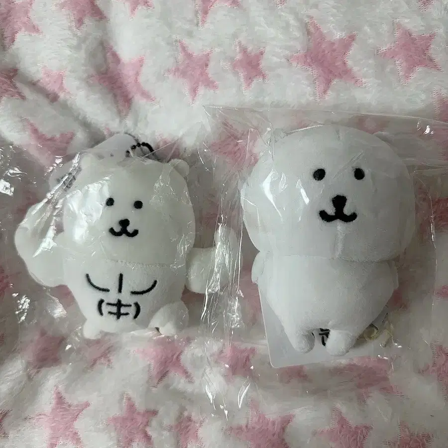 근육 농담곰 양도