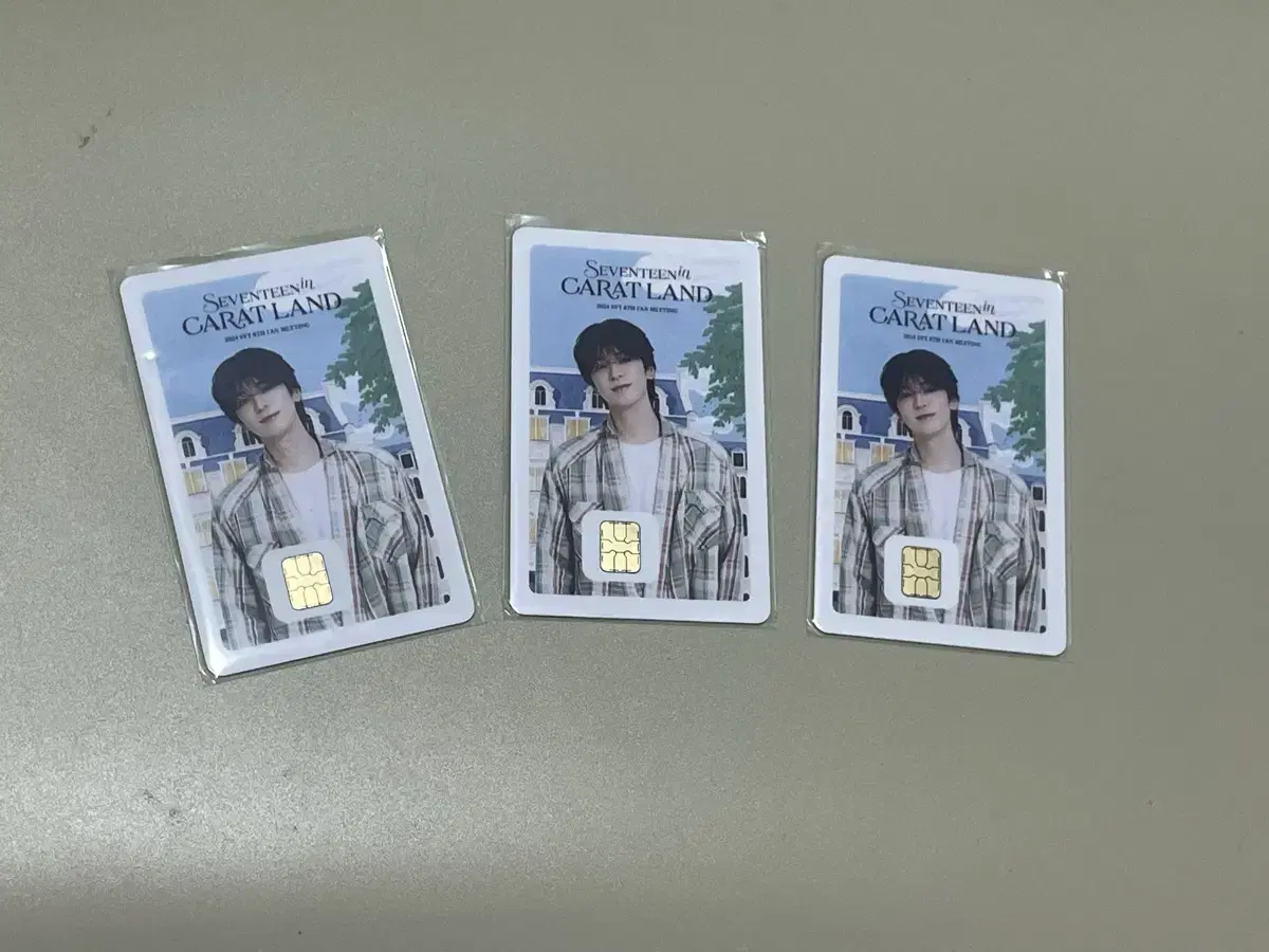 Seventeen Namanekard wonwoo WTS