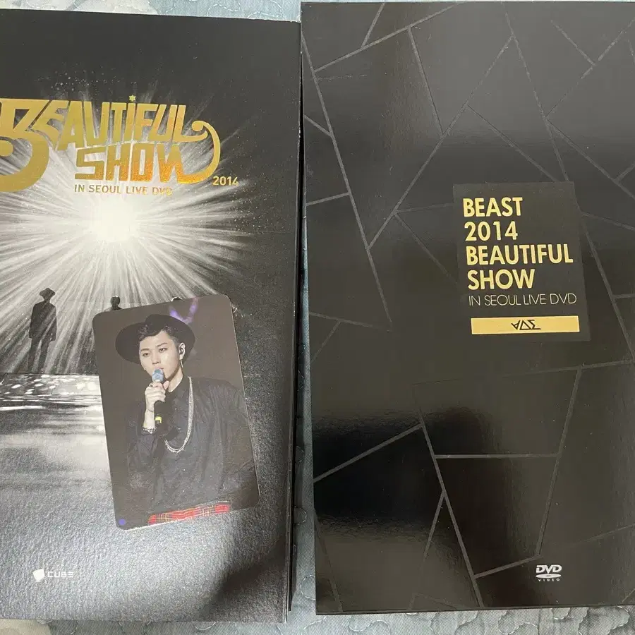 비스트 (현 하이라이트) 2014년 뷰티풀쇼 dvd 포토북