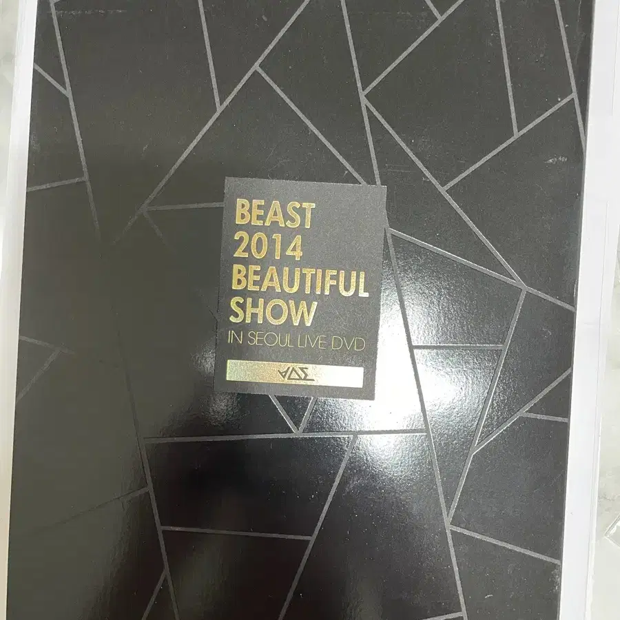 비스트 (현 하이라이트) 2014년 뷰티풀쇼 dvd 포토북