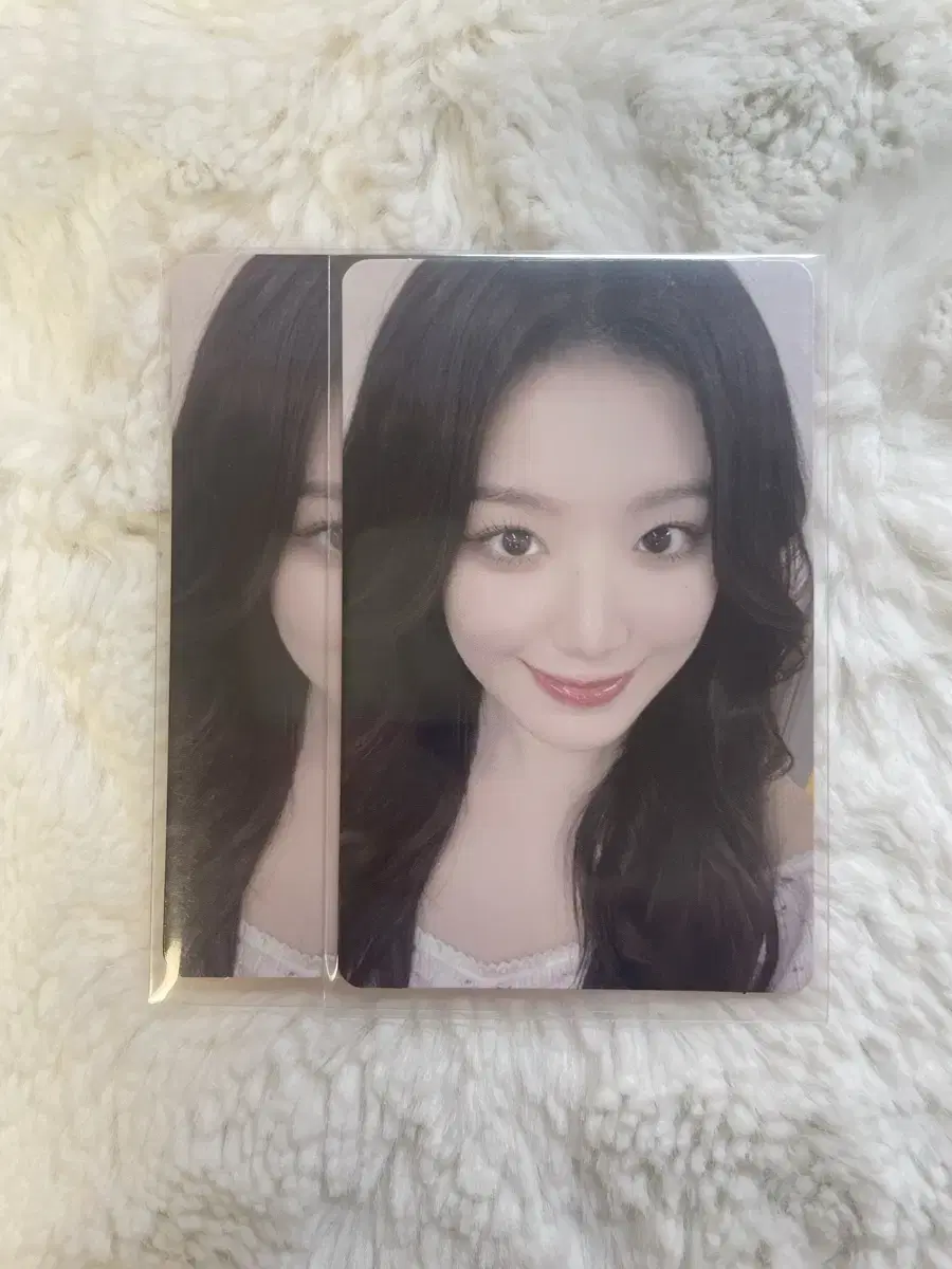 Gidles shuhua Clarion pop up photocard Sells