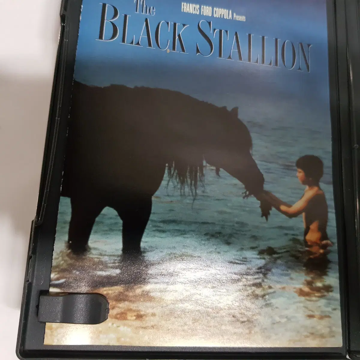 BLACK STALLION   DVD