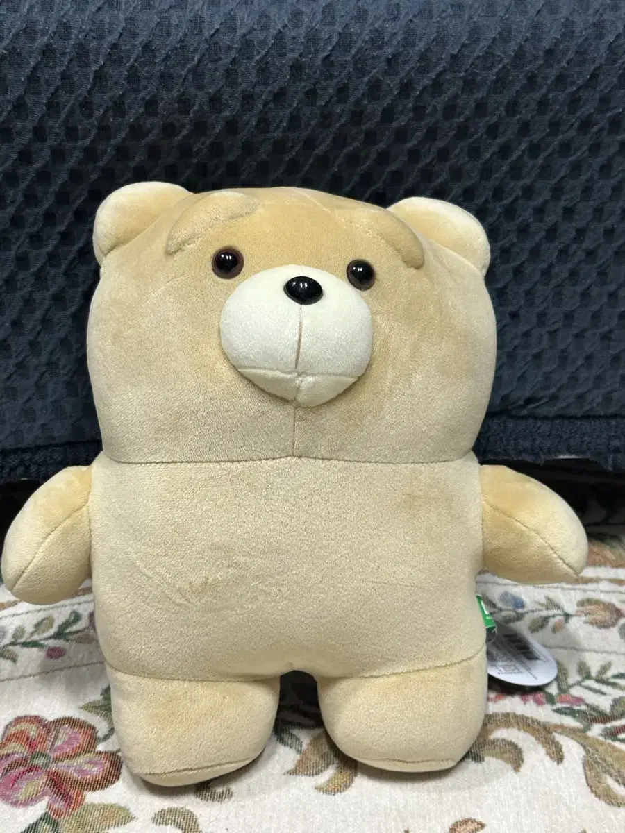 Ted doll