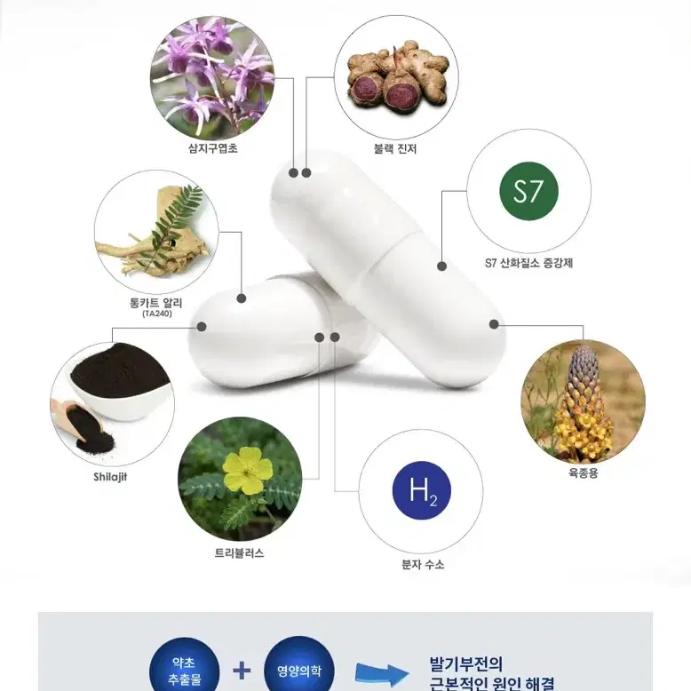 미국산 천연 남성 발기 성기능 강화 새상품