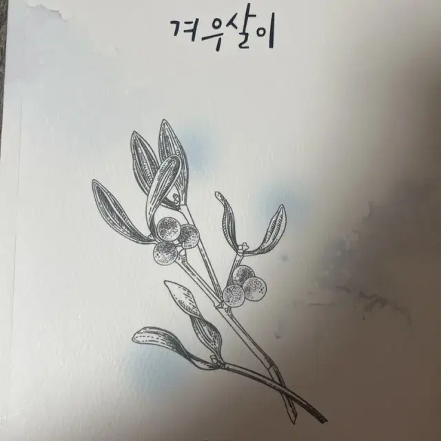 엔시티 127 2차 회지