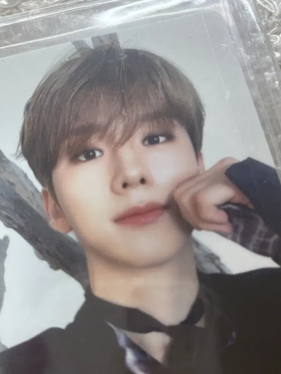 Kihyun Hampozai WTS