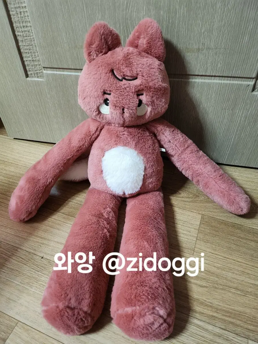 더보이즈 큐 지창민 바디필로우 인형 60cm 코코보이즈 뒷산보이즈 큐몽이