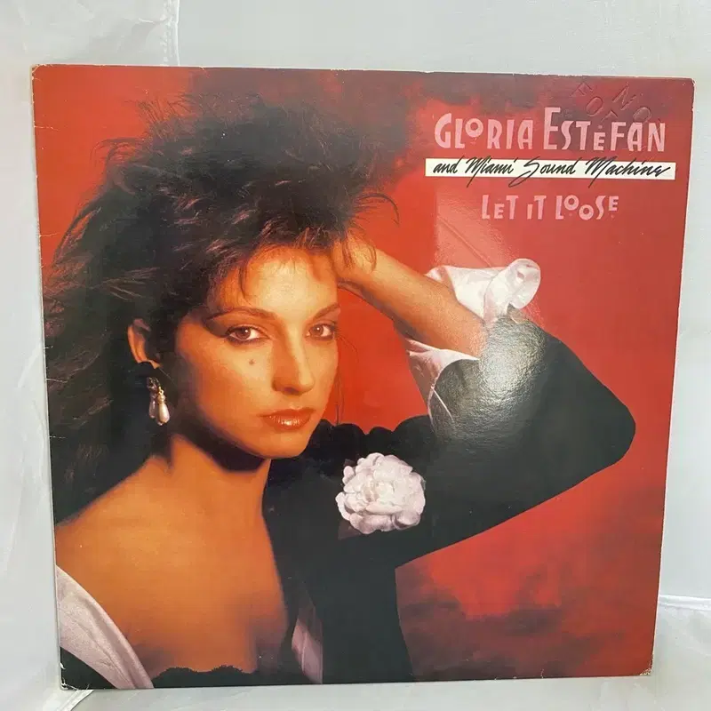 GLORIA ESTEFAN LP / AA3806