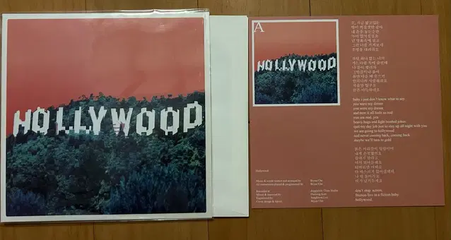 검정치마 헐리우드 HOLLY WOOD lp