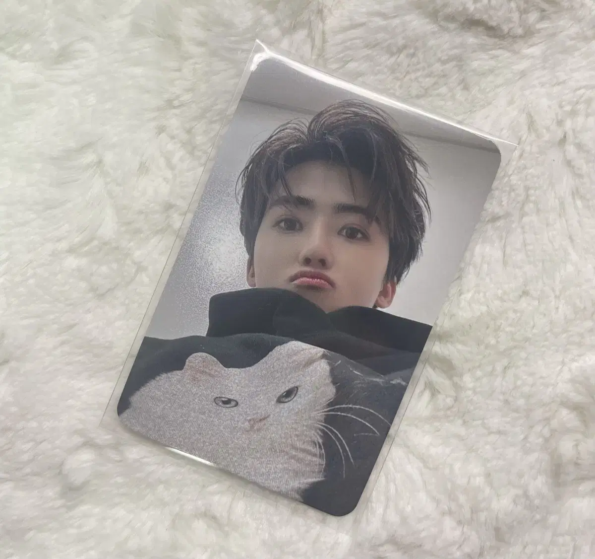 NCT jaemin Smoothie unreleased photocard wts music korea Dream