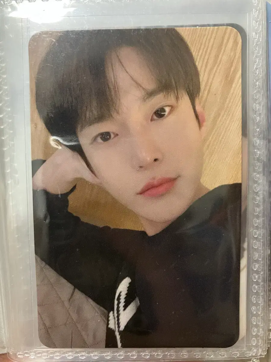 beddoyoung photocard sells