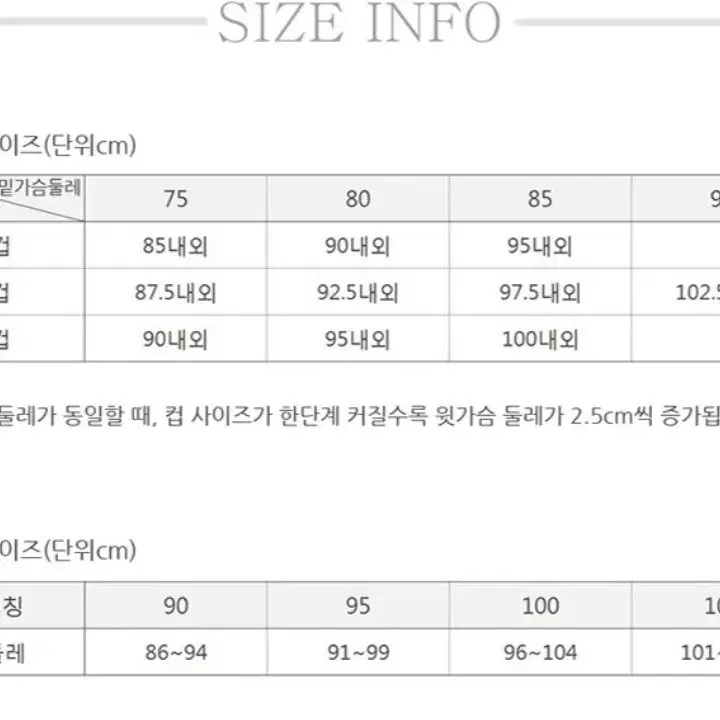 비비안 노와이어 브라팬티5세트