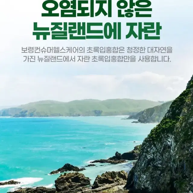 보령 초록입홍합