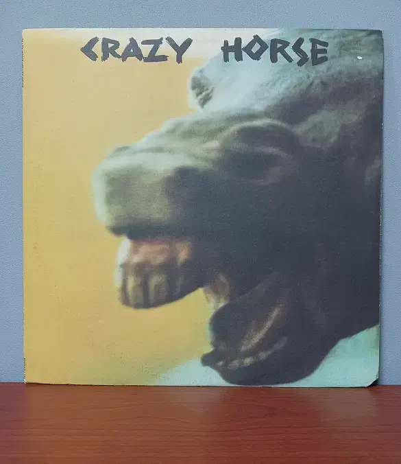 수입음반 LP_Crazy Horse " I Don't Wanna Talk