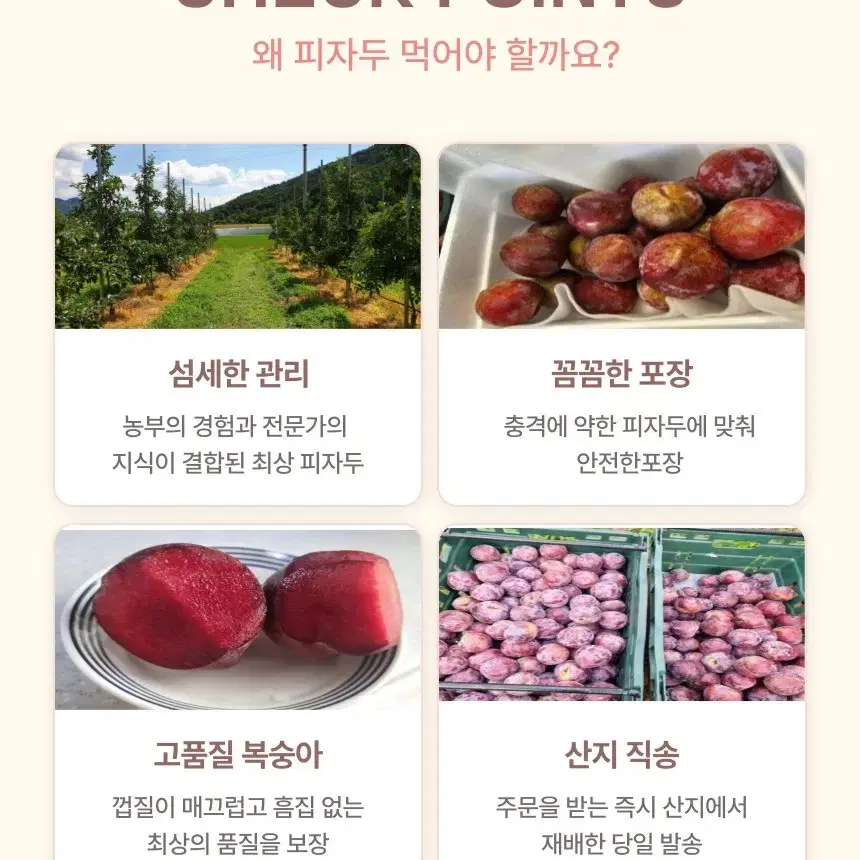 고당도 후무사 피자두 산지직송 1kg