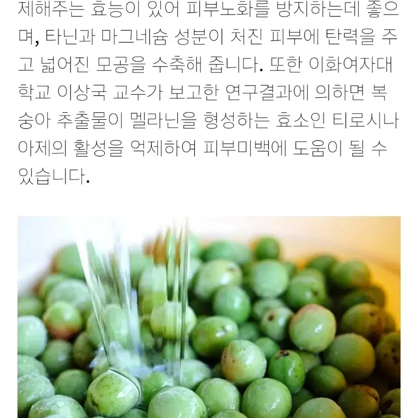 야생 개복숭아 효소 판매(5개 남았네요)