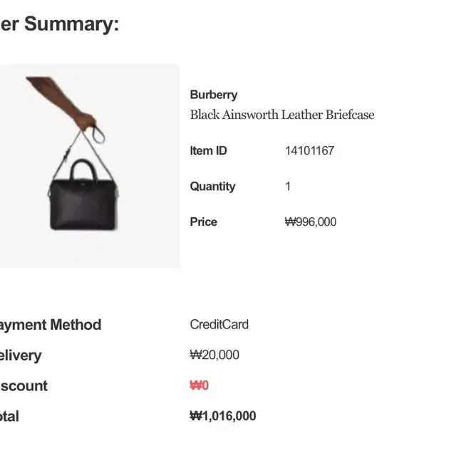 버버리 브리프케이스 burberry ainsworth briefcase