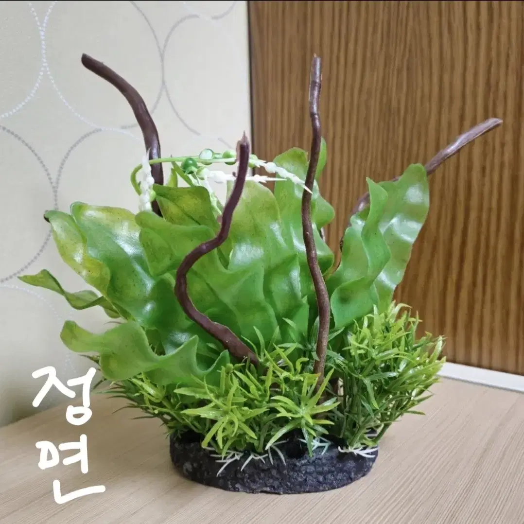 인조 수초