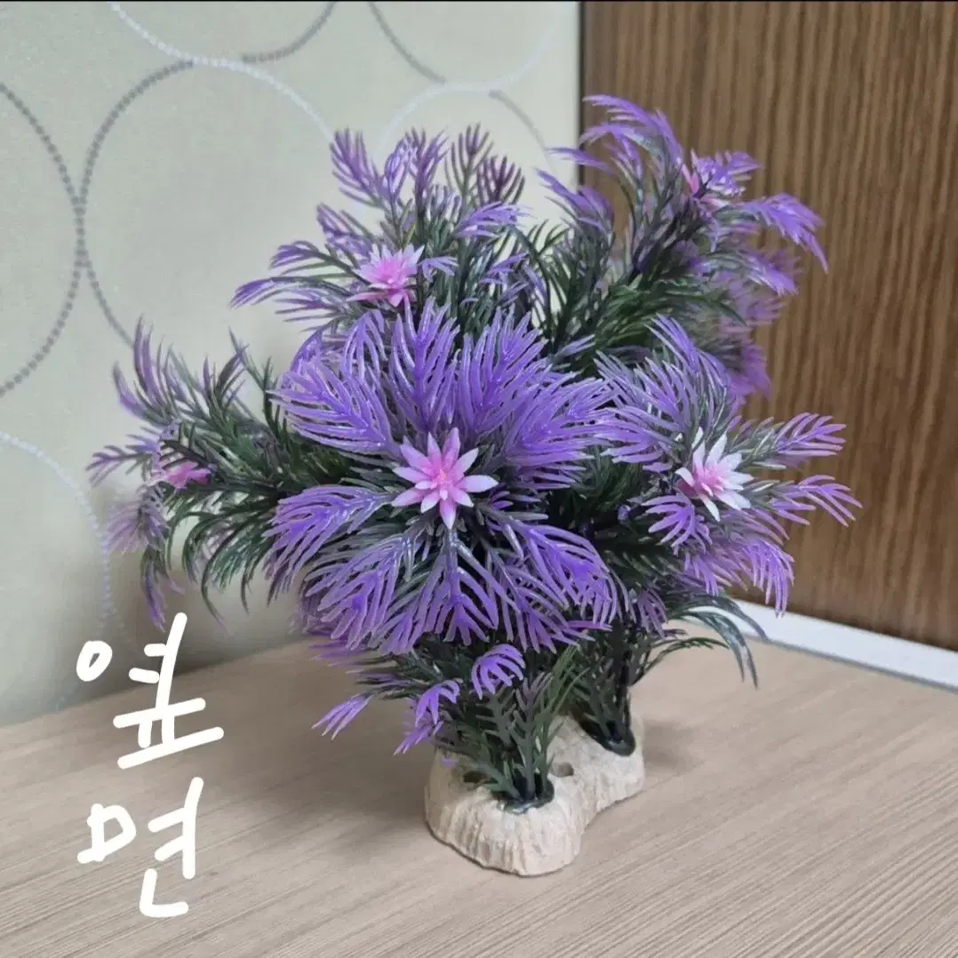 인조 수초