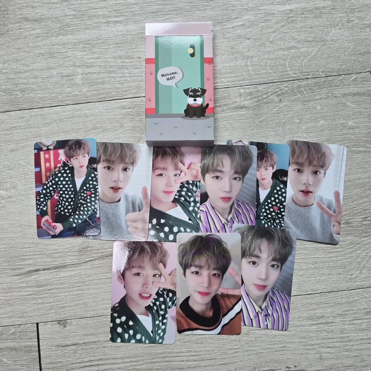 Park Jihoon May1st Fan ClubPhotocard