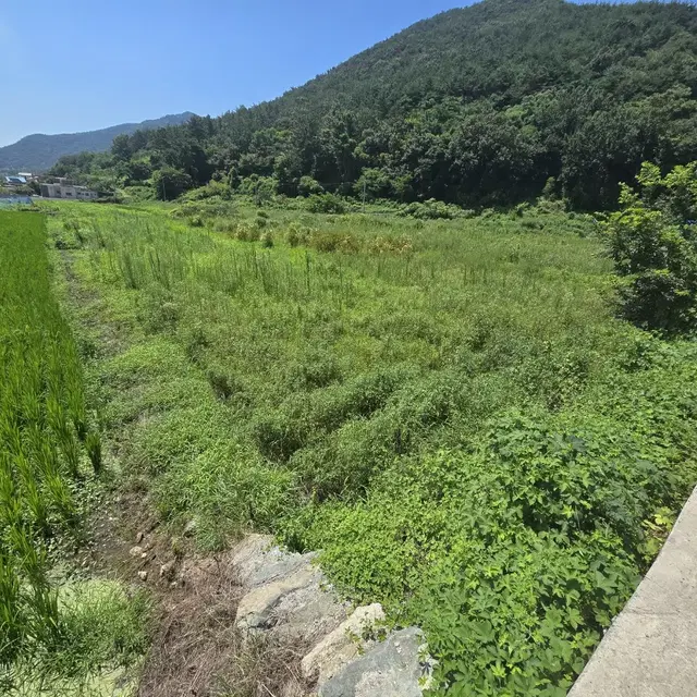 여수 인천공항 인근 답 임대