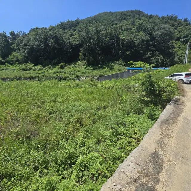 여수 인천공항 인근 답 임대