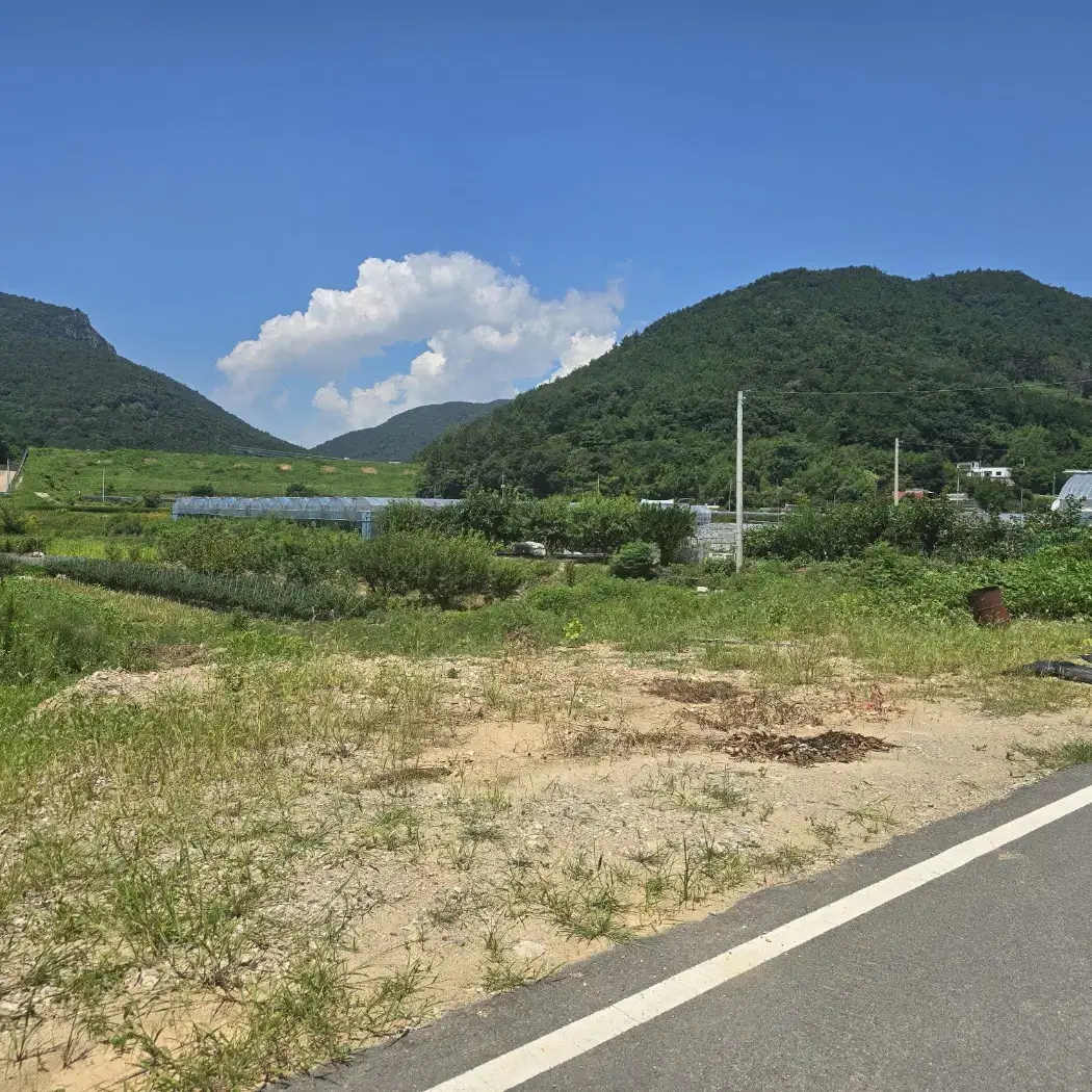 여수공항 인근 답 임대