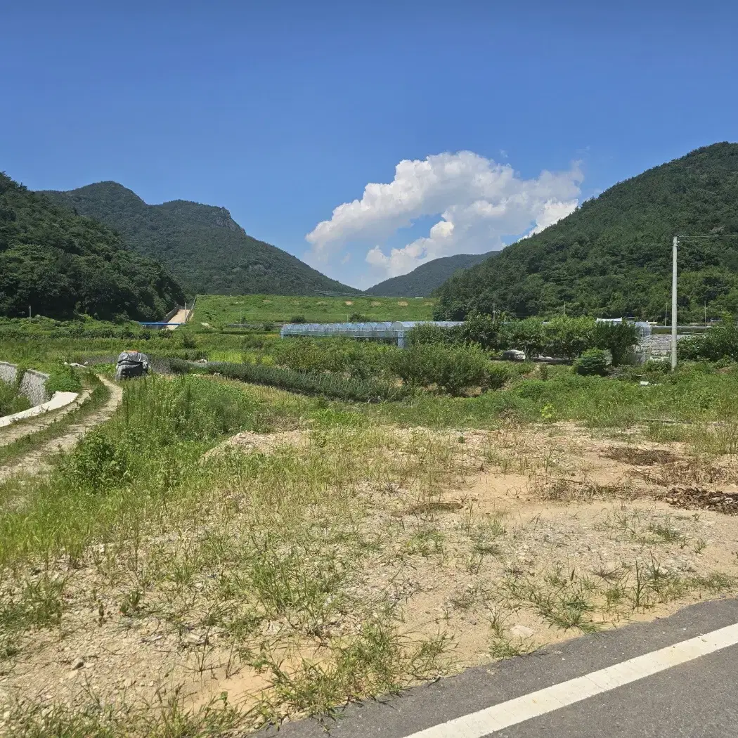 여수공항 인근 답 임대