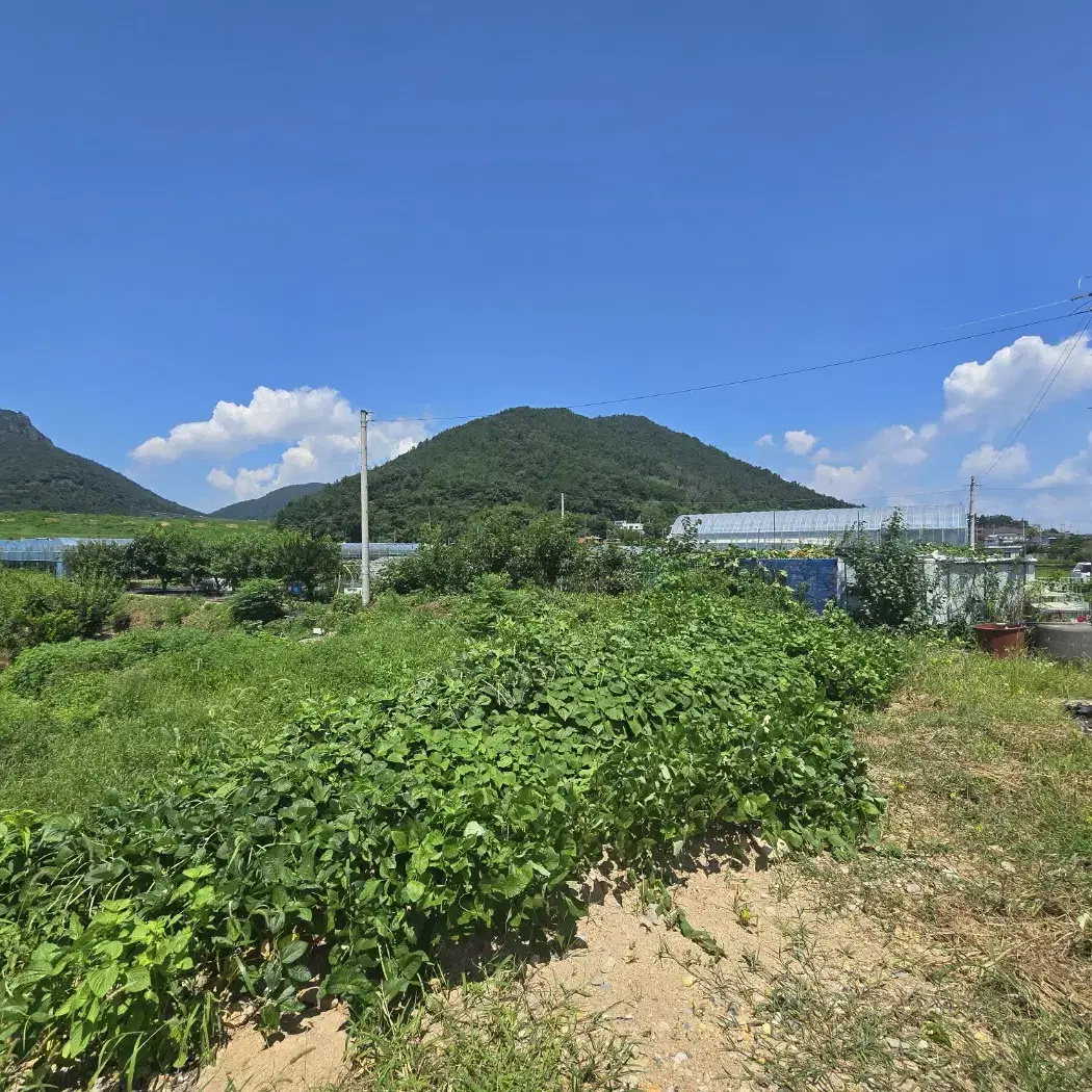 여수공항 인근 답 임대