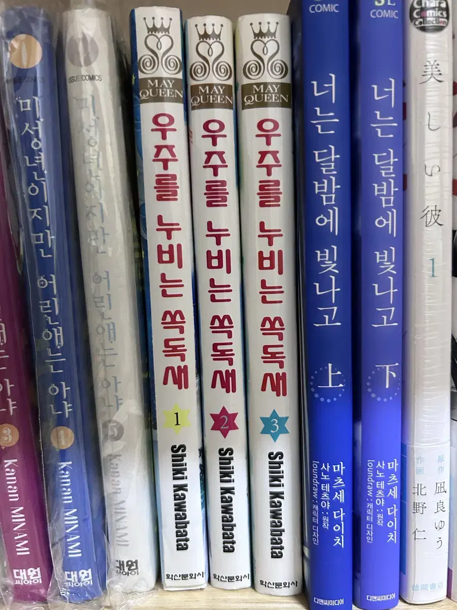 우주를 누비는 쏙독새 판매합니다